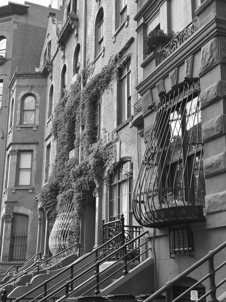 Bed Stuy Modern rental apartment
