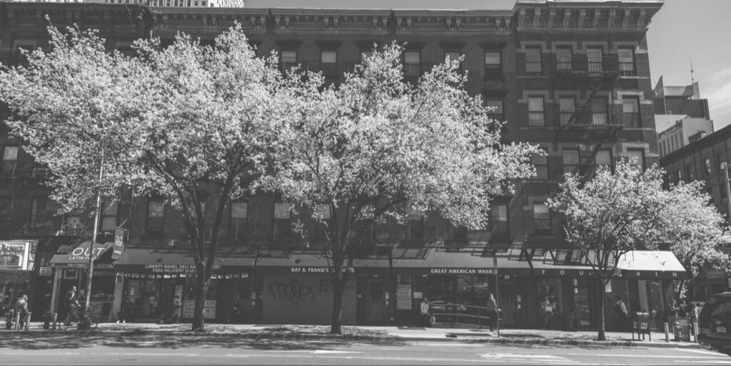 Brooklyn front view of apartments with trees