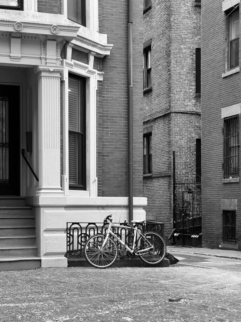 Bed Stuy Modern Living Building