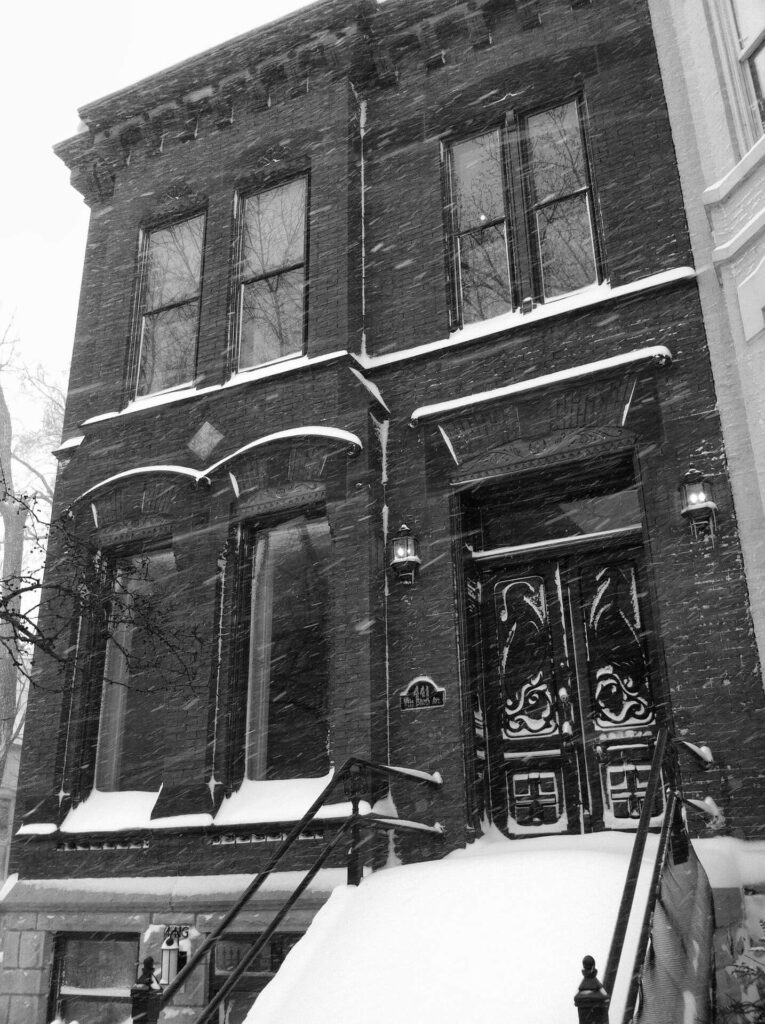 Modern Bedford-Stuyvesant snowing stoop Brooklyn