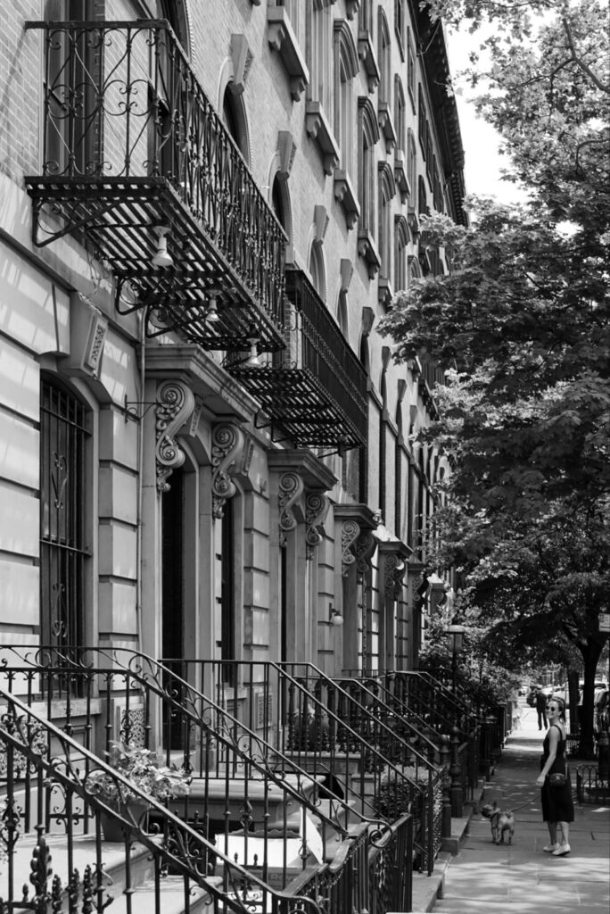 Bed Stuy neighborhood apartments
