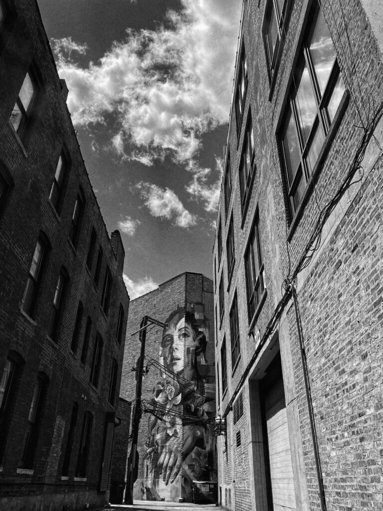 Bedford-Stuyvesant street modern living