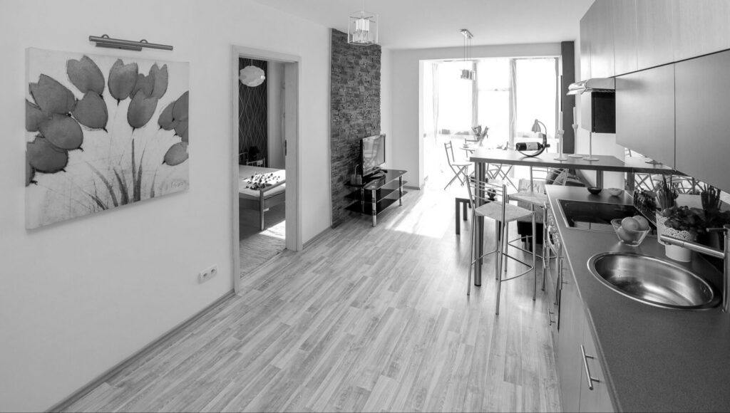 Modern Bed Stuy living room and kitchen area