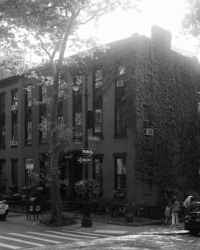 Bed Stuy Modern renting apartment