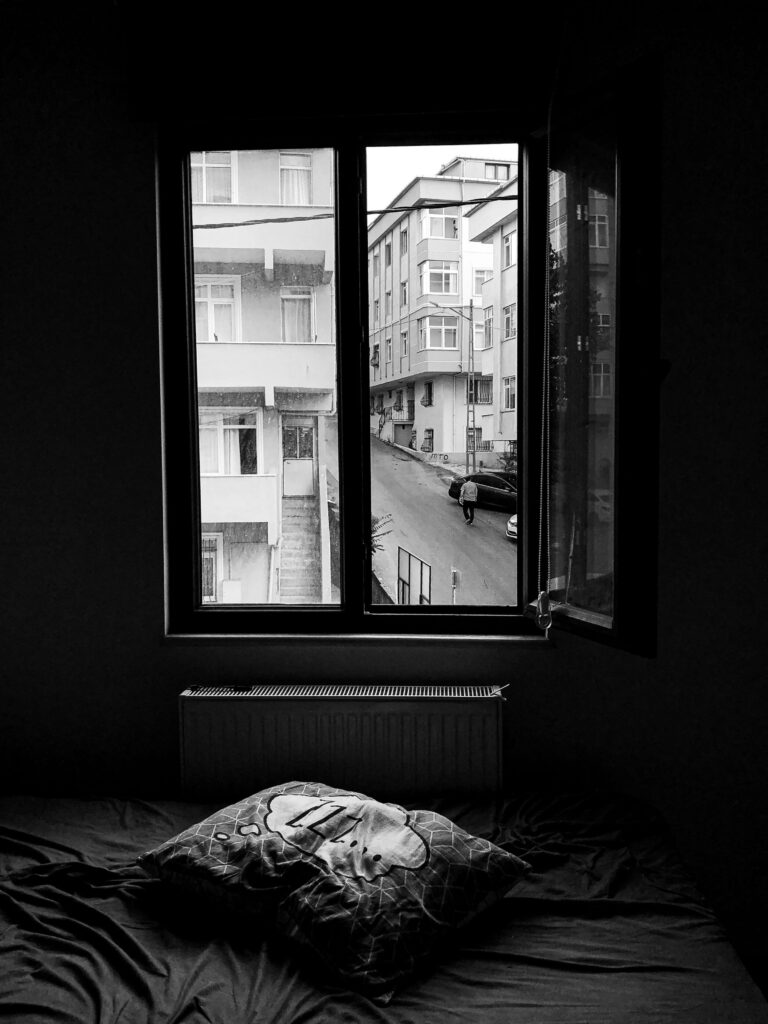 Bed Stuy Modern Living