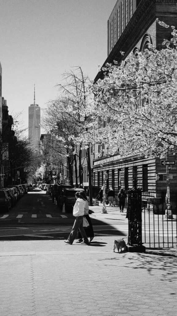 Modern Brooklyn neighborhood community and professionals