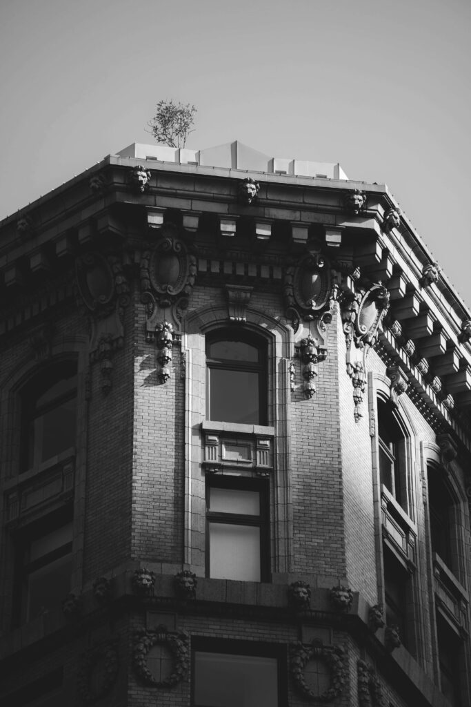 Brooklyn apartment historic rooftop
