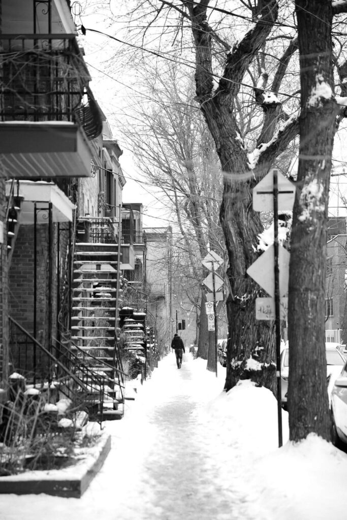 Snowy street view of Brooklyn homes